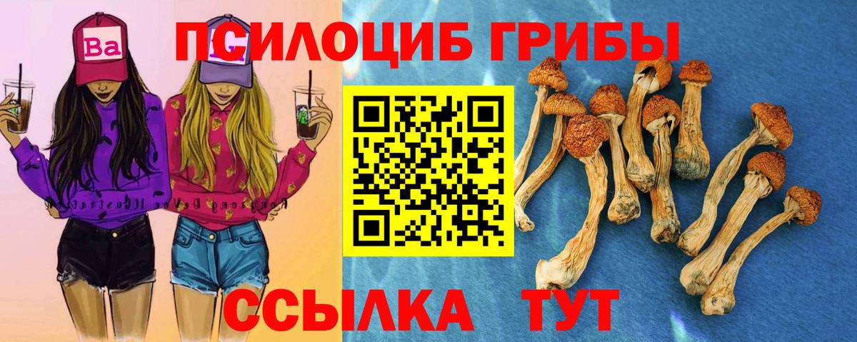 купить  цена  Вход с VPN  Первоуральск  Псилоцибиновые грибы MAGIC MUSHROOMS 