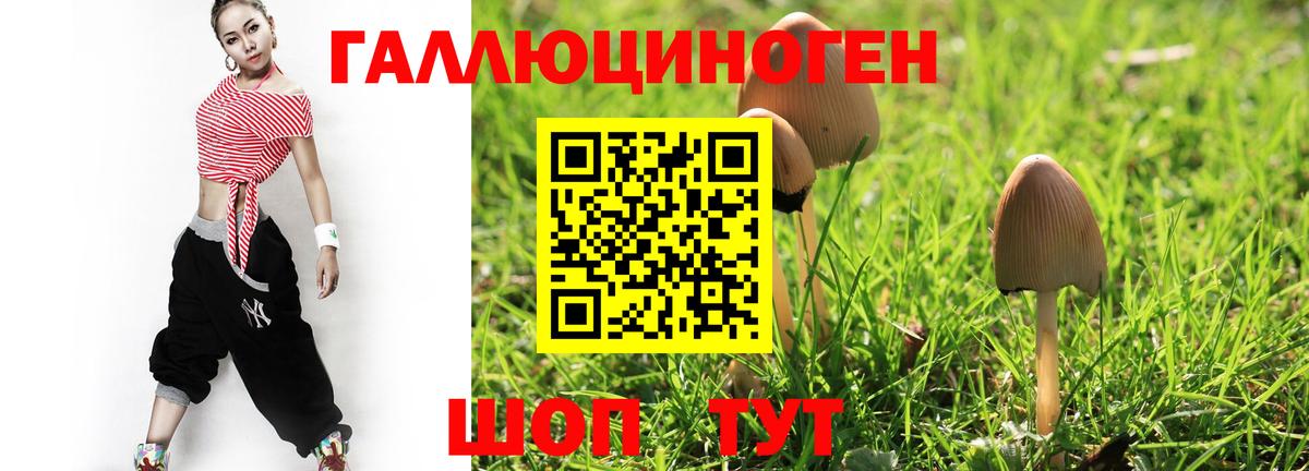 Галлюциногенные грибы Psilocybine cubensis Первоуральск